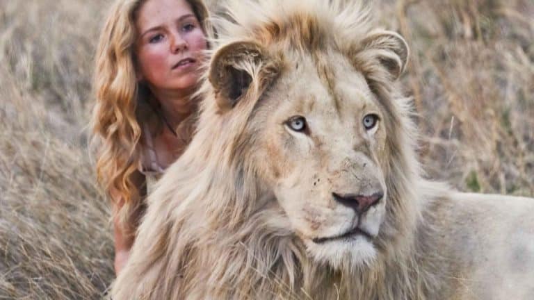 Mia et le lion blanc, le film de cette fin d&rsquo;année à voir en famille