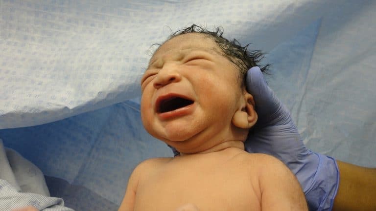 Première mondiale : un bébé naît après une greffe d&rsquo;utérus post-mortem