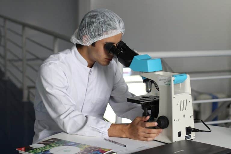 Des chercheurs ont créé un placenta artificiel