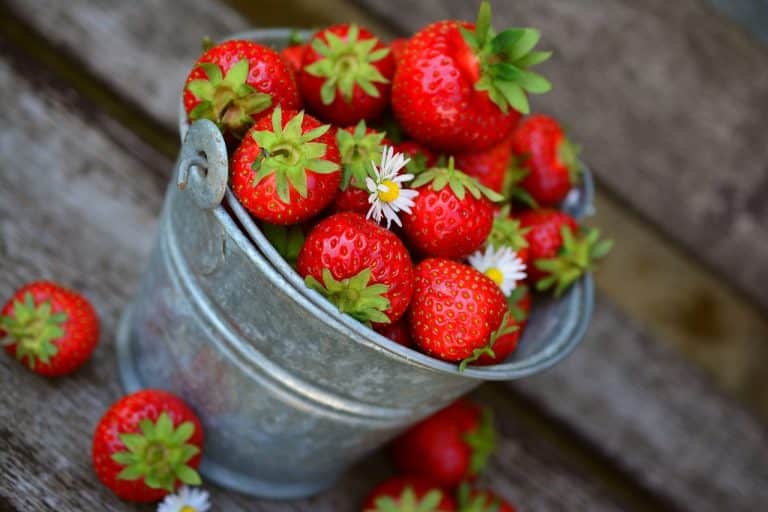 Les femmes enceintes ont-elles réellement envie de fraises ?