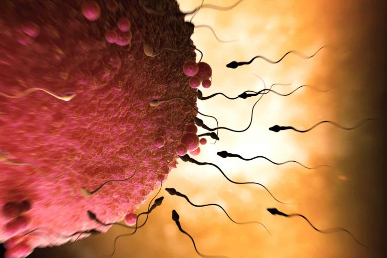 Période d&rsquo;ovulation : 6 signes de votre corps qui ne trompent jamais !