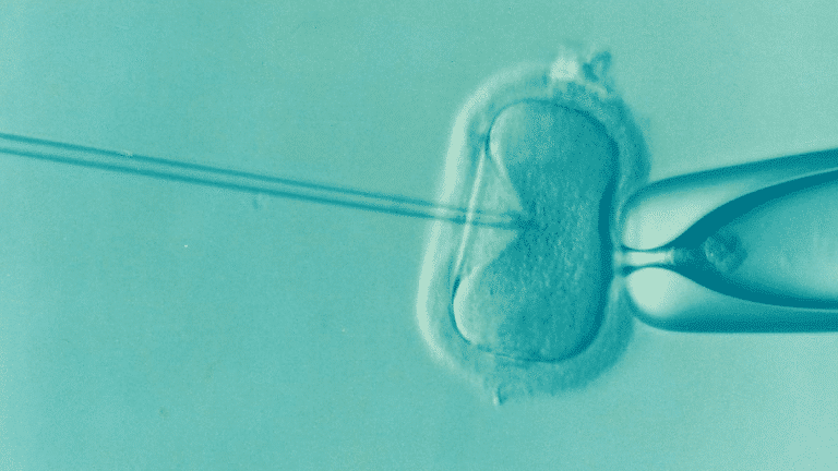 Tout savoir sur l&rsquo;autoconservation des ovocytes