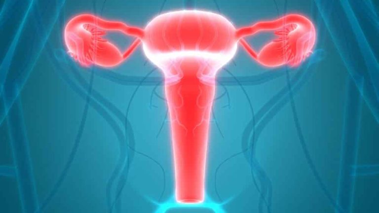 Kyste ovarien : quelle incidence sur la fertilité ?