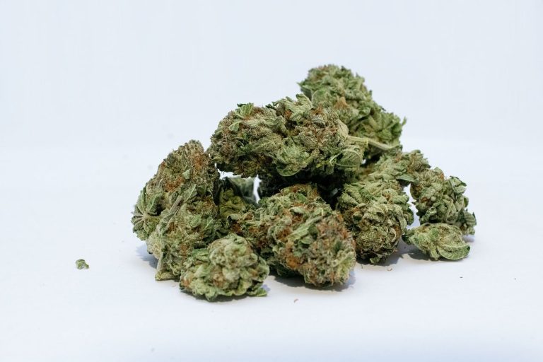 Plus de femmes consomment de la marijuana pendant la grossesse