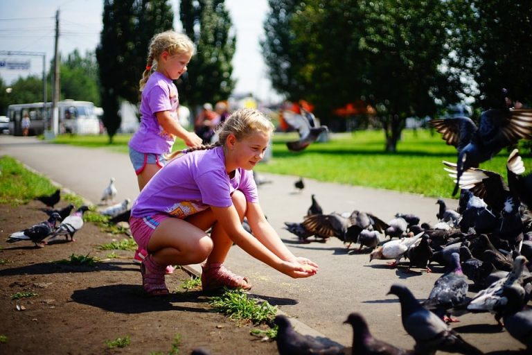 4 activités ludiques et gratuites à pratiquer cet été avec ses enfants !