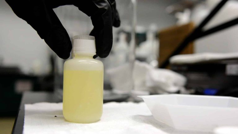 3 choses que vous ignoriez sur l&rsquo;urine de bébé !