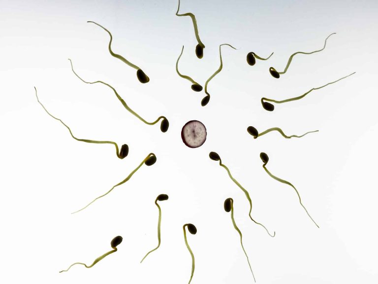 Conception d&rsquo;un enfant : l&rsquo;âge du père a-t-il une réelle incidence ?