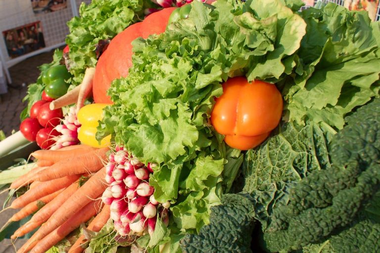 Les légumes surgelés : bons ou mauvais pour votre enfant ?