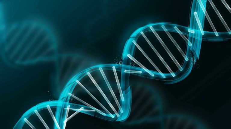 Parlons-en : tout savoir sur le syndrome de Marfan, une grave maladie génétique (Partie 2)
