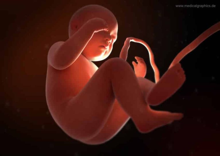 Elle accouche d&rsquo;une fille enceinte de sa propre jumelle