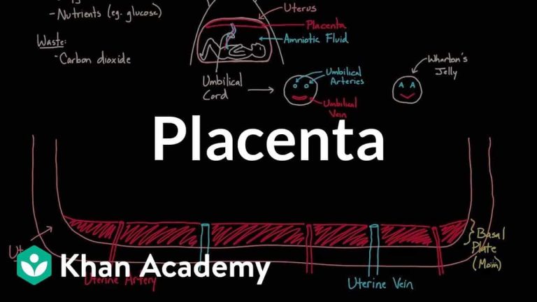 Les 6 anomalies du placenta : les anomalies infectieuses de d’emplacement