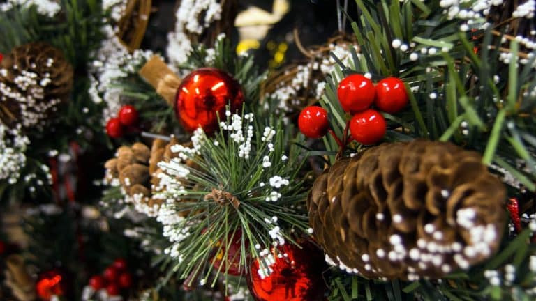 Les 4 bonnes et mauvaises raisons d&rsquo;accoucher en décembre !