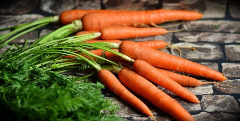 5 remèdes 100 % naturels contre la diarrhée au cours de la grossesse