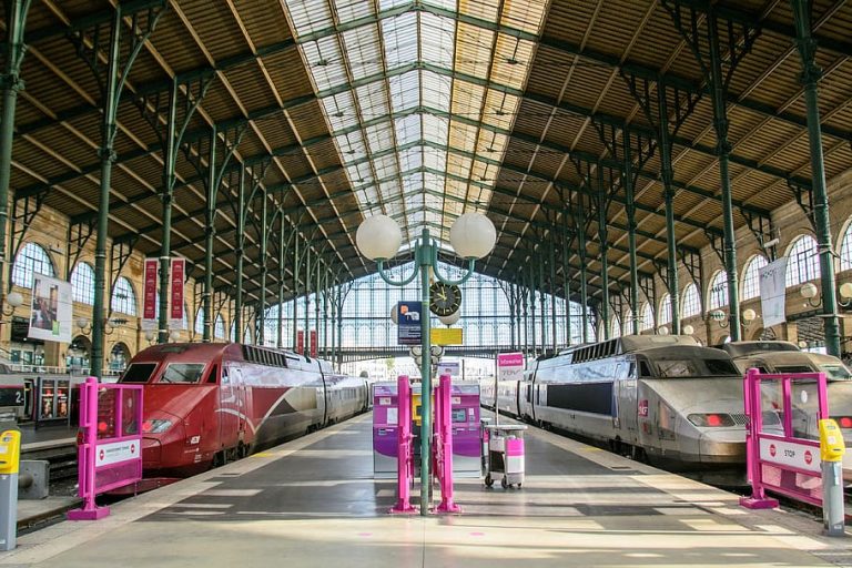 Elle accouche de son enfant dans la gare du RER D