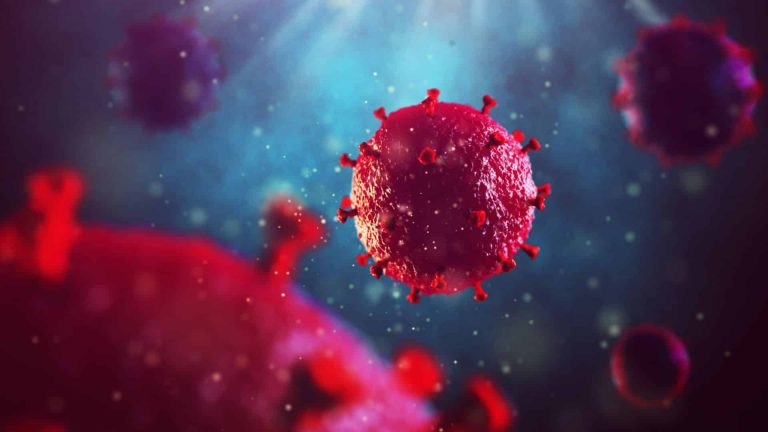 Tout ce que vous devez savoir sur le coronavirus