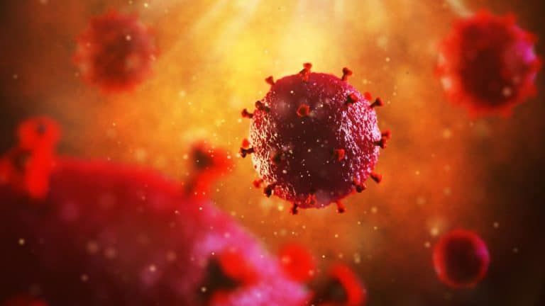 Chine : Un nouveau-né contaminé par le Coronavirus pendant la grossesse