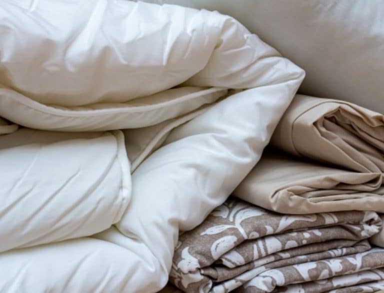 Punaises de lit : comment s&rsquo;en débarrasser ?