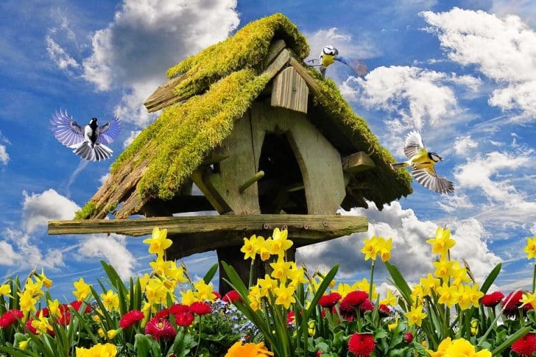 Les 5 étapes du grand ménage de printemps !