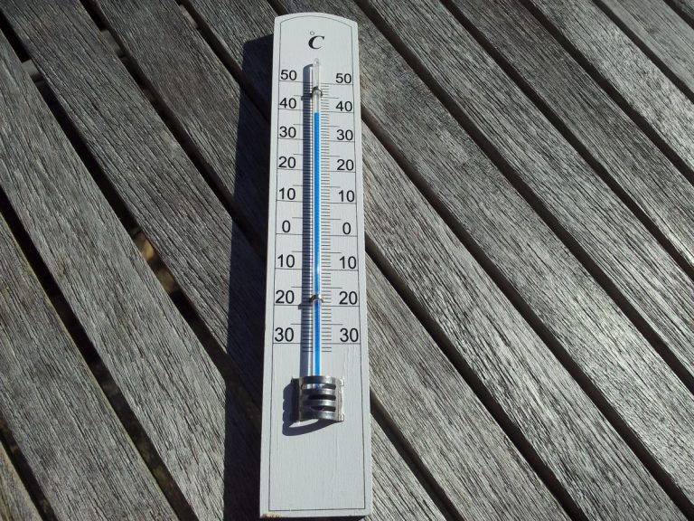 Canicule : quelle alimentation adopter pour éviter la déshydratation ?