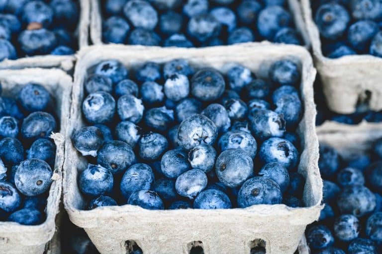 Les bienfaits du jus de myrtille