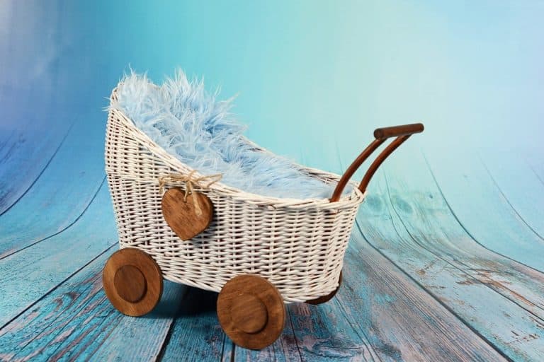 Balades en poussette avec les parents : quels sont les bienfaits pour votre enfant ?