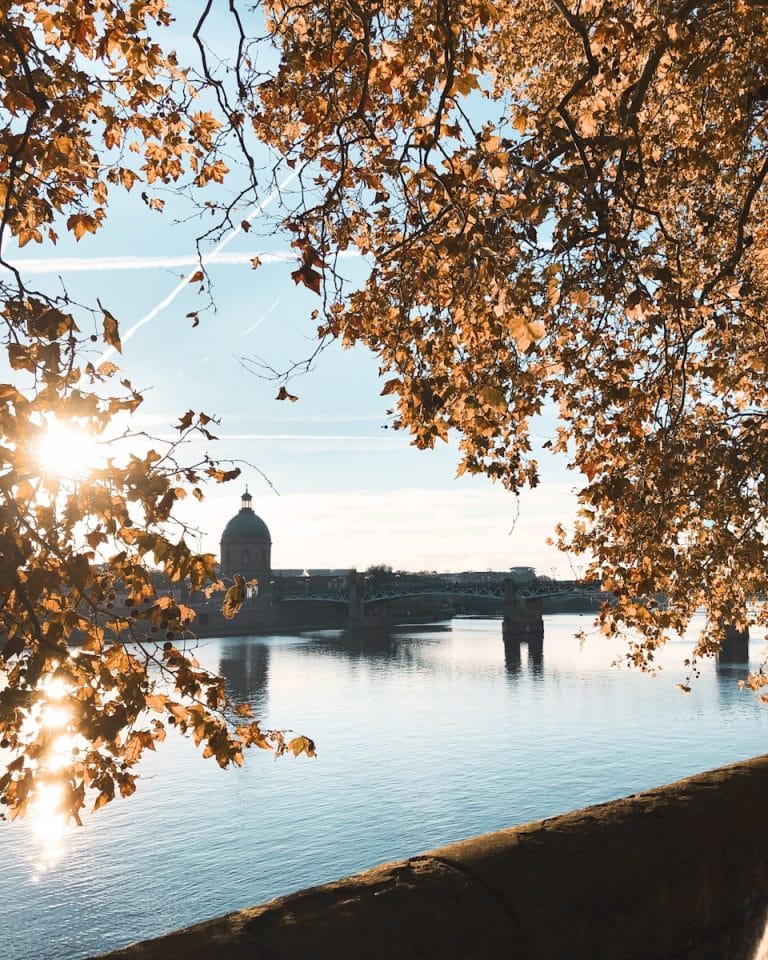 Déménager à Toulouse : les meilleurs quartiers pour les familles